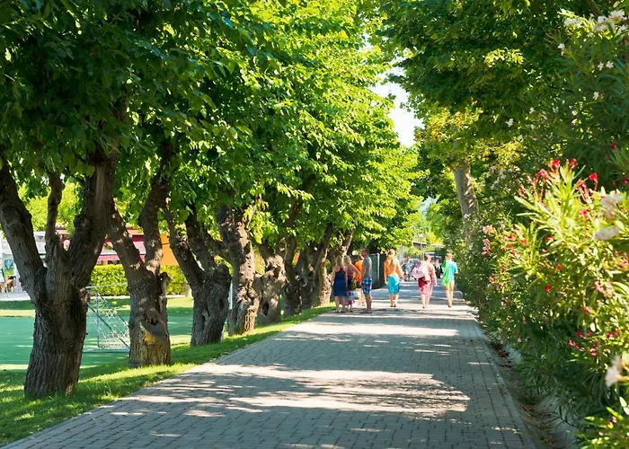 Village Du Parc 营地 3*