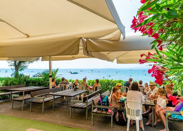 营地 Village Du Parc 3*