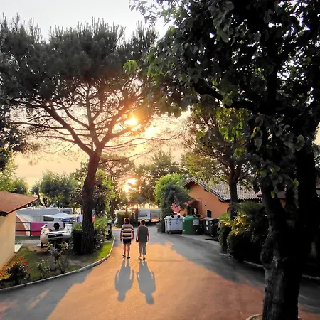 Village Du Parc Kamp alanı 3*